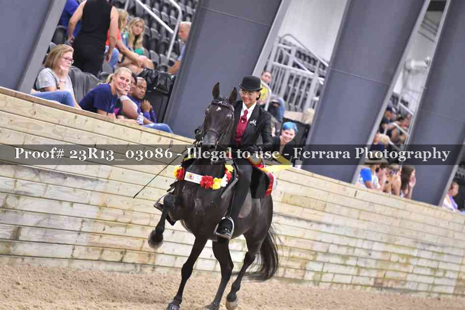 Proof Number 23R13_03086
