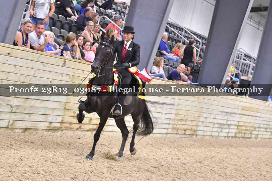 Proof Number 23R13_03087