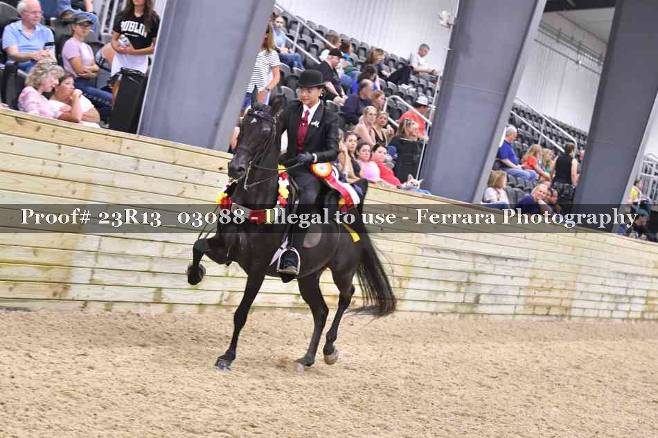 Proof Number 23R13_03088