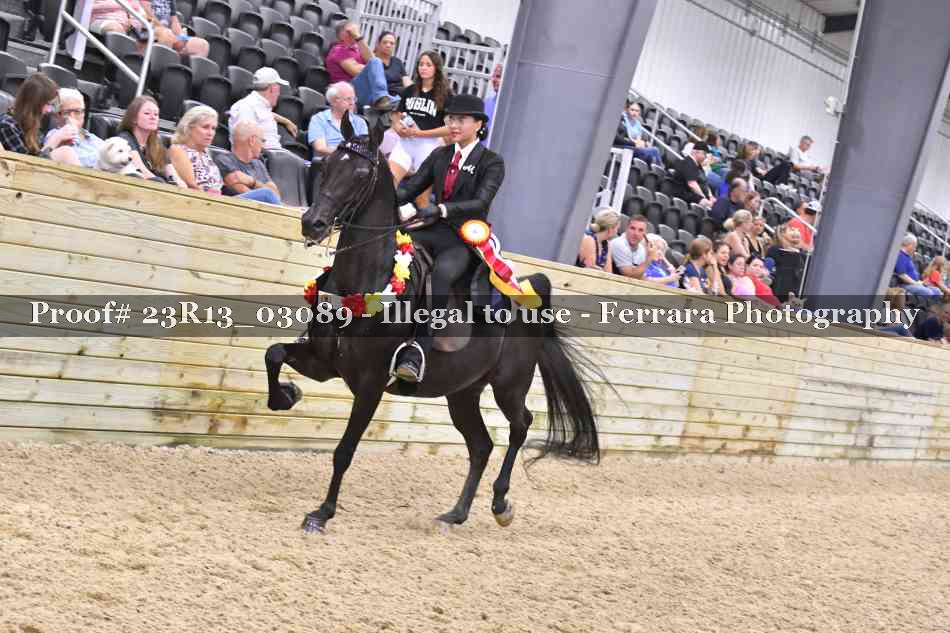 Proof Number 23R13_03089