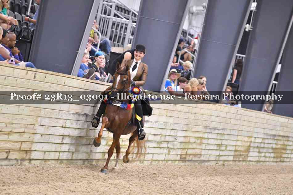Proof Number 23R13_03091