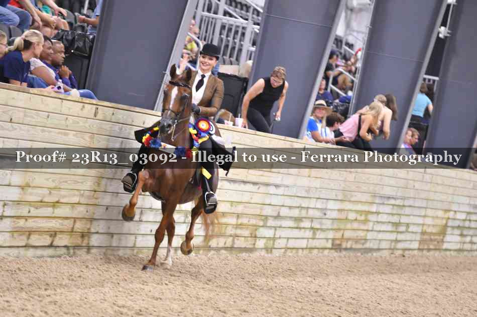 Proof Number 23R13_03092