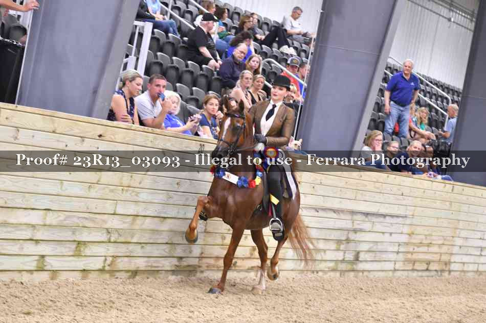 Proof Number 23R13_03093