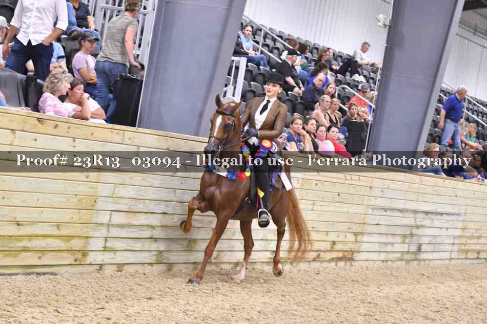 Proof Number 23R13_03094