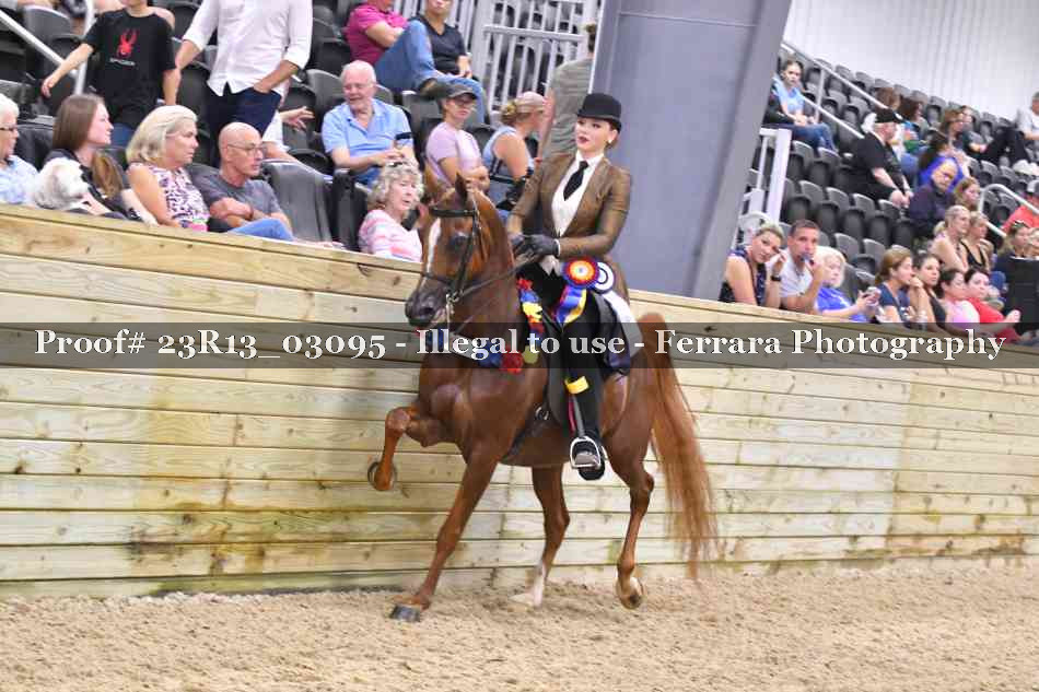 Proof Number 23R13_03095
