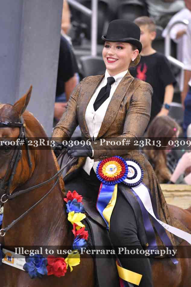 Proof Number 23R13_03096