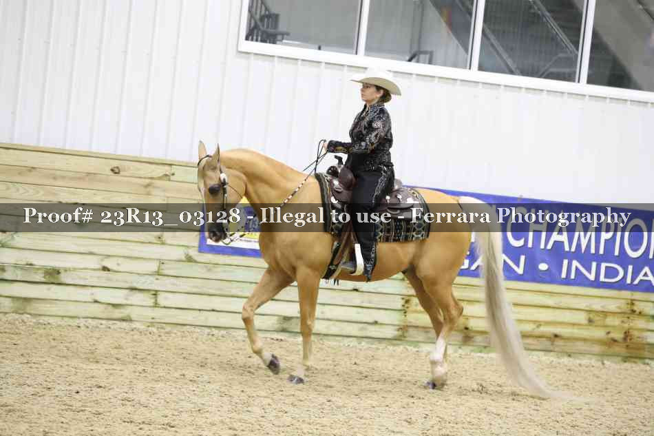Proof Number 23R13_03128