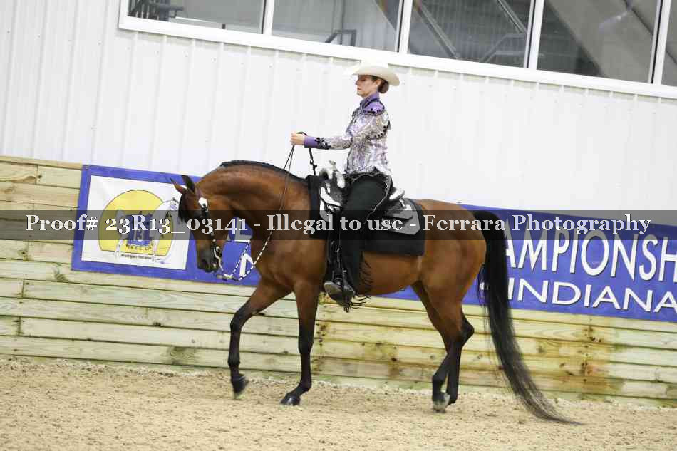 Proof Number 23R13_03141