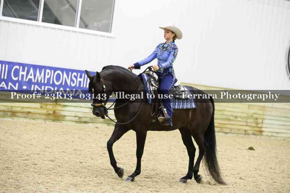Proof Number 23R13_03143