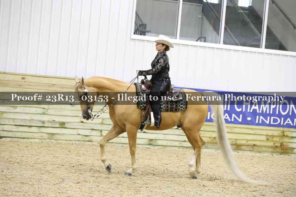 Proof Number 23R13_03153