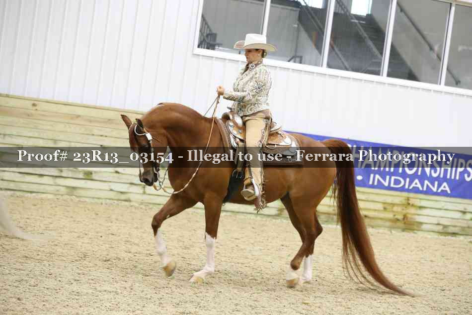 Proof Number 23R13_03154
