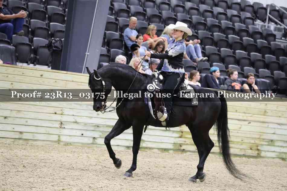 Proof Number 23R13_03175