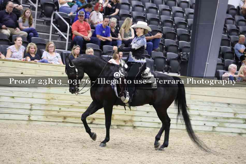 Proof Number 23R13_03176