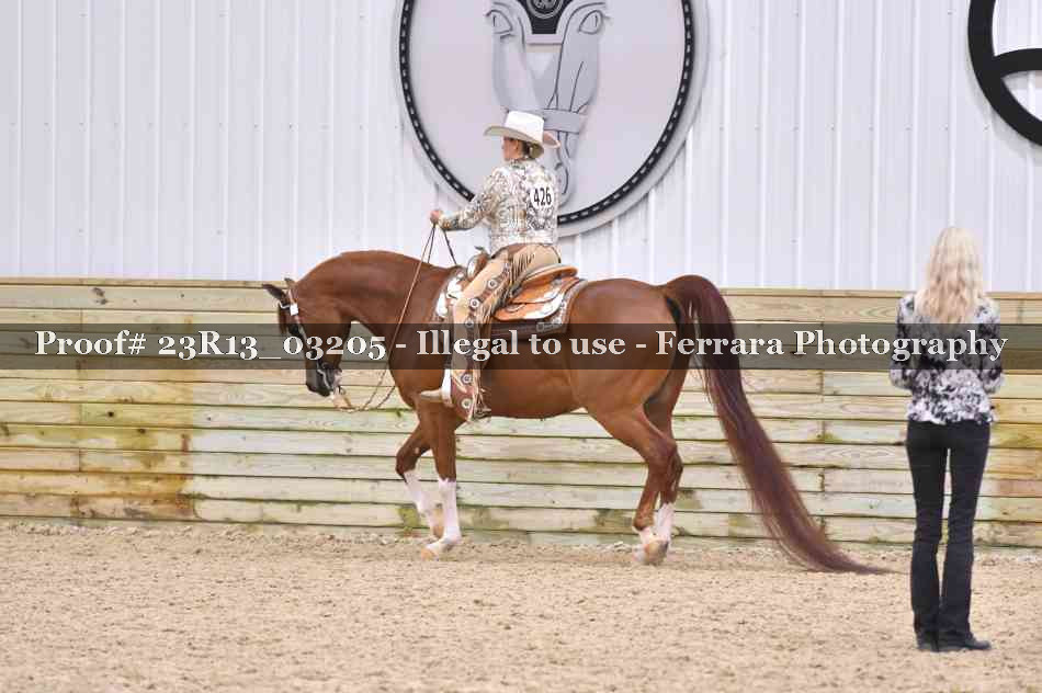 Proof Number 23R13_03205