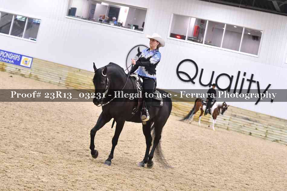Proof Number 23R13_03231