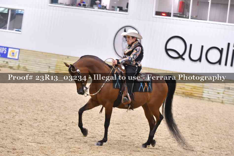 Proof Number 23R13_03234