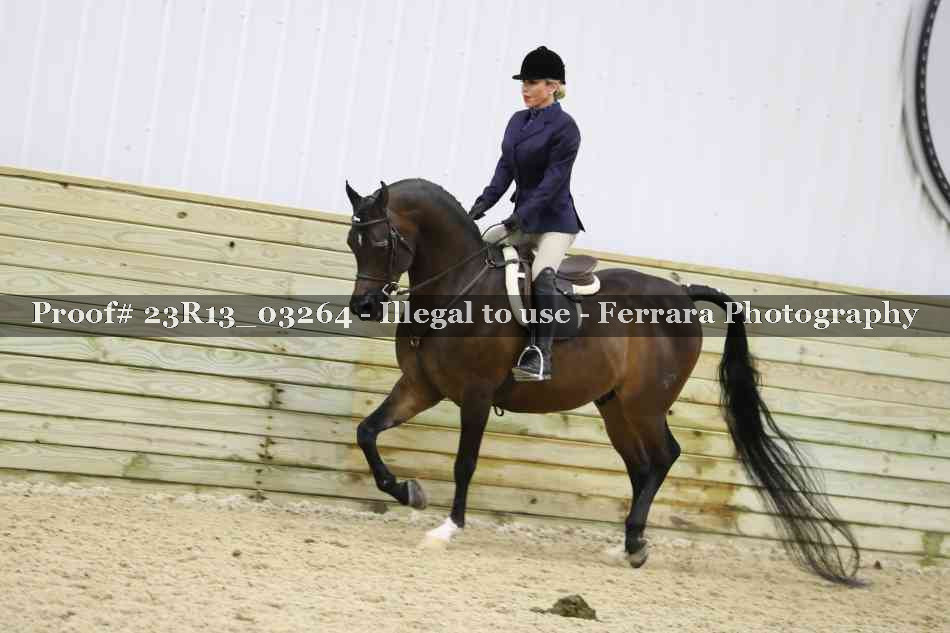Proof Number 23R13_03264