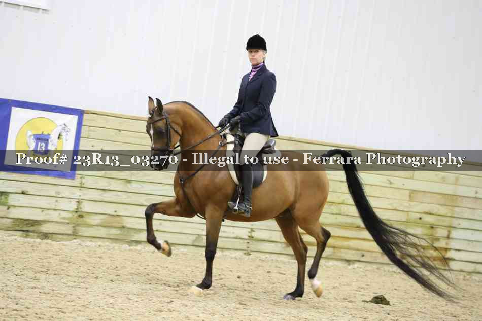 Proof Number 23R13_03270