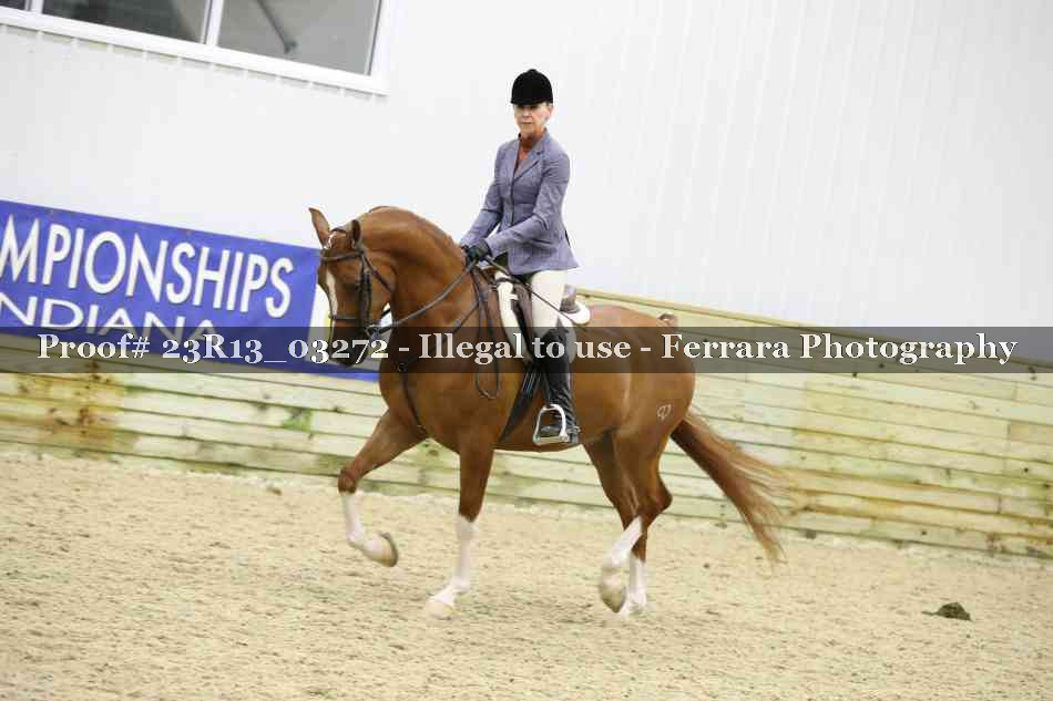 Proof Number 23R13_03272
