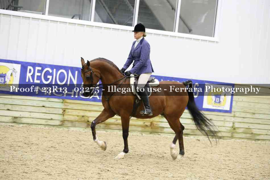 Proof Number 23R13_03275