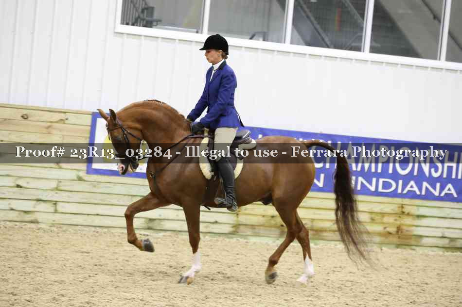 Proof Number 23R13_03284