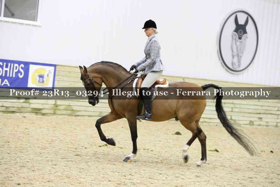 Proof Number 23R13_03294