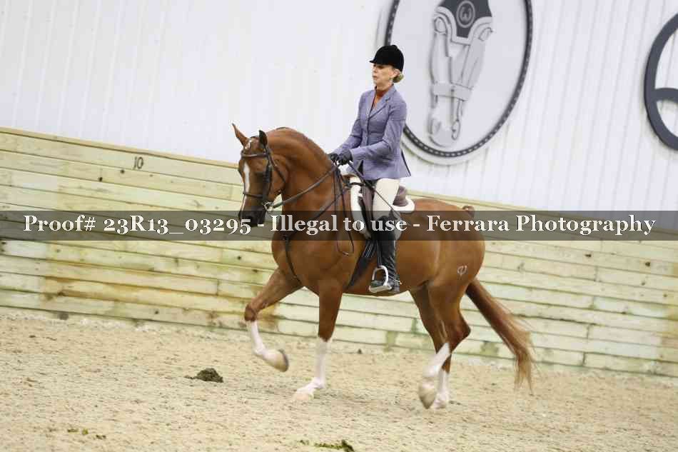 Proof Number 23R13_03295