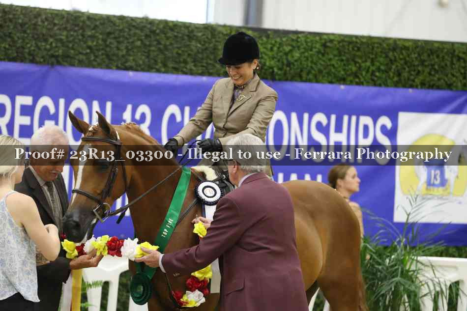 Proof Number 23R13_03300