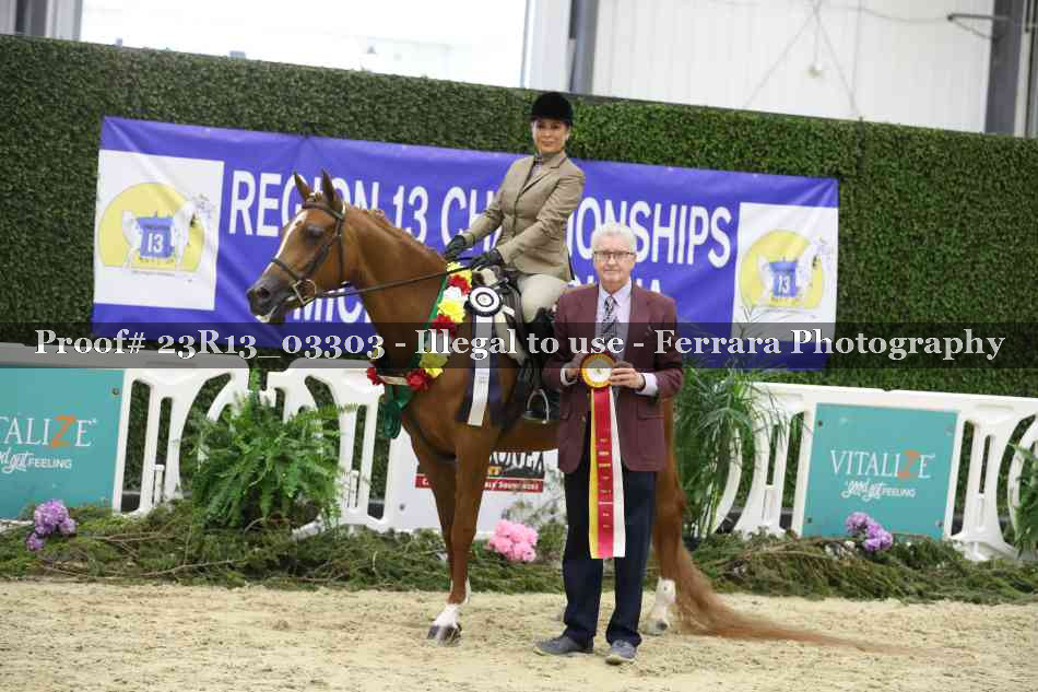 Proof Number 23R13_03303