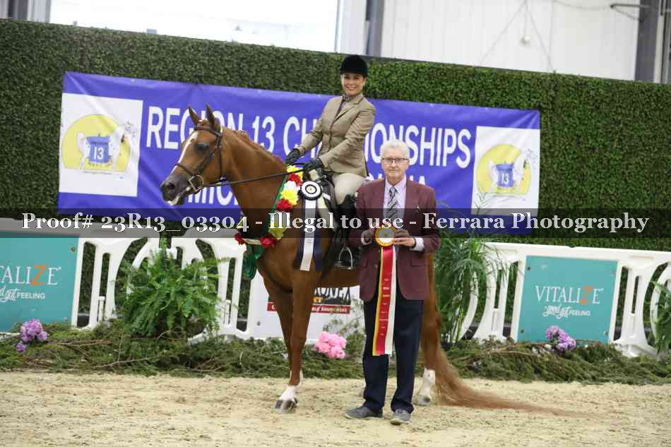 Proof Number 23R13_03304