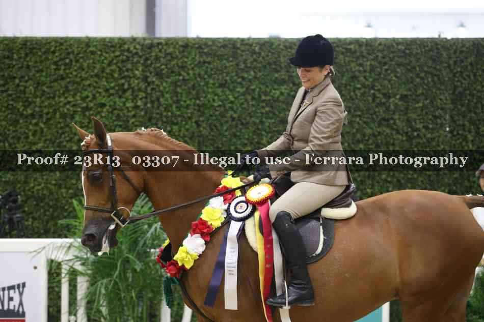 Proof Number 23R13_03307