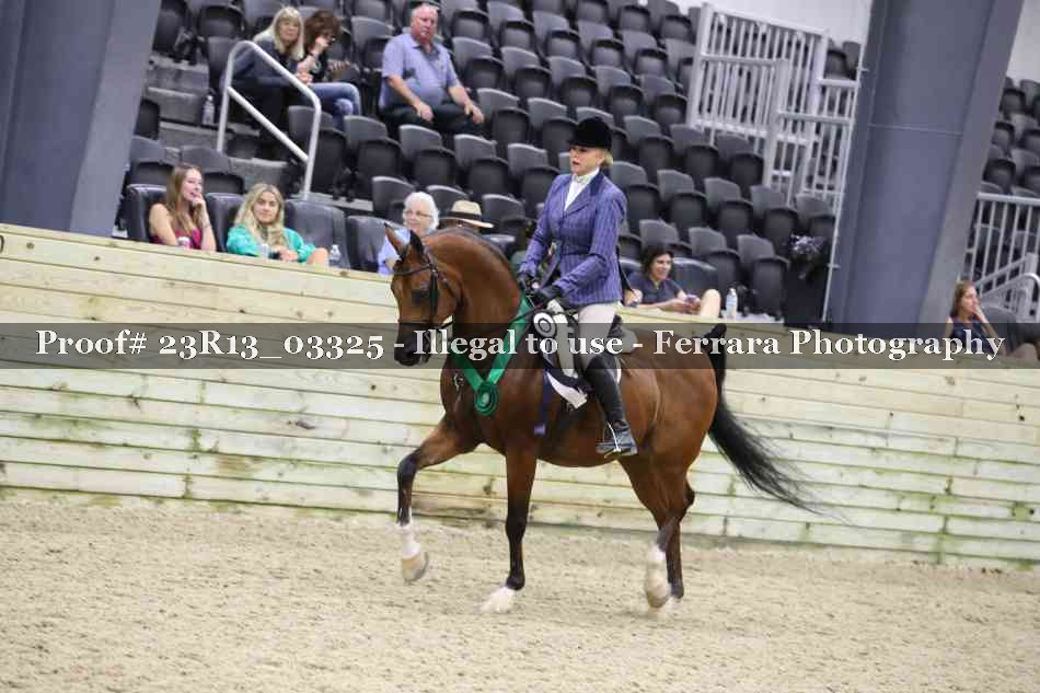 Proof Number 23R13_03325