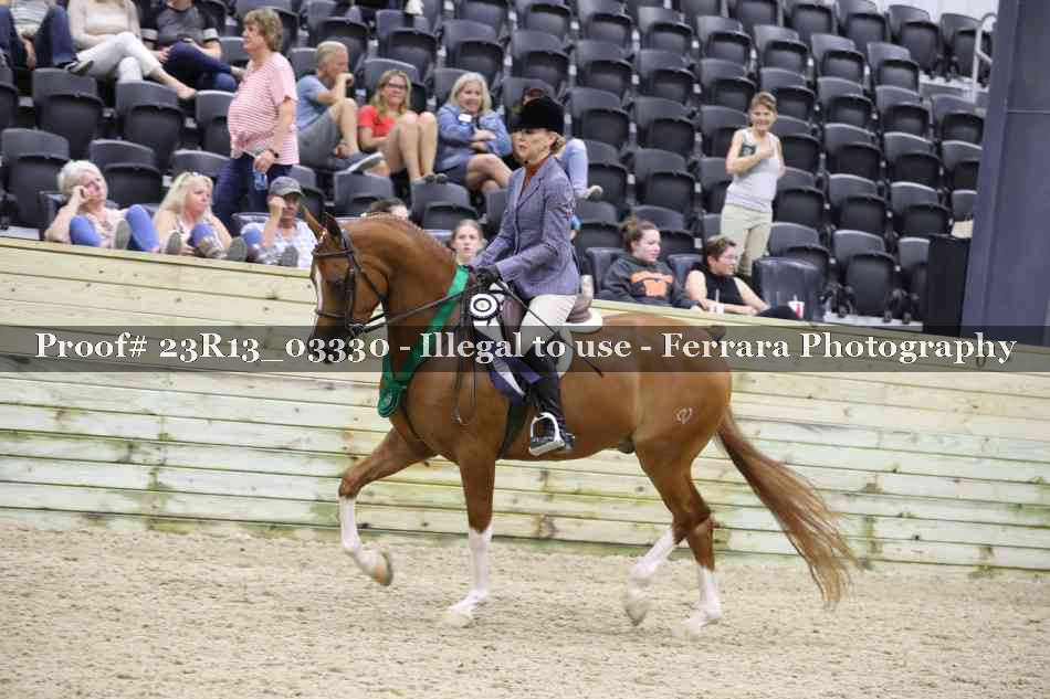 Proof Number 23R13_03330