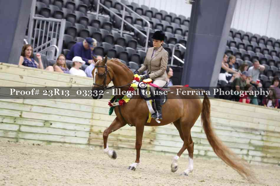 Proof Number 23R13_03332