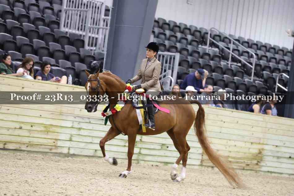 Proof Number 23R13_03333