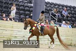 23R13_03335 thumbnail