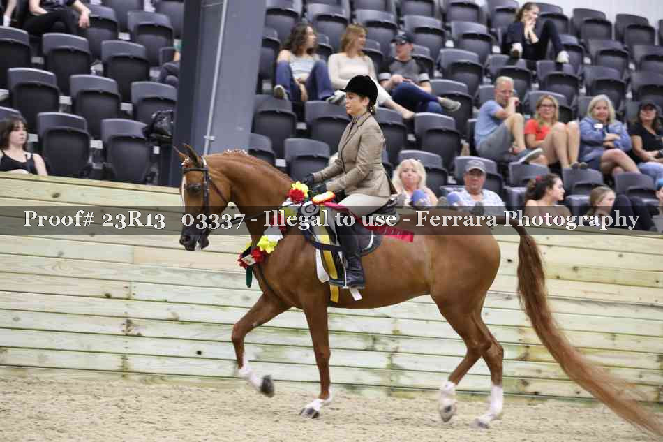 Proof Number 23R13_03337