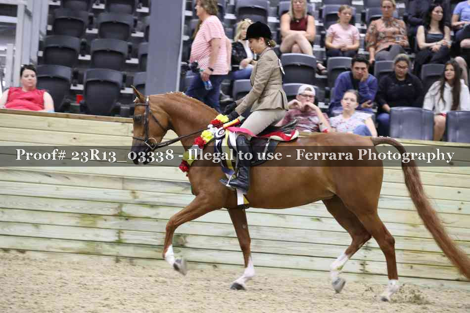 Proof Number 23R13_03338