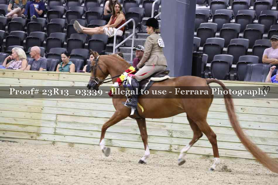 Proof Number 23R13_03339