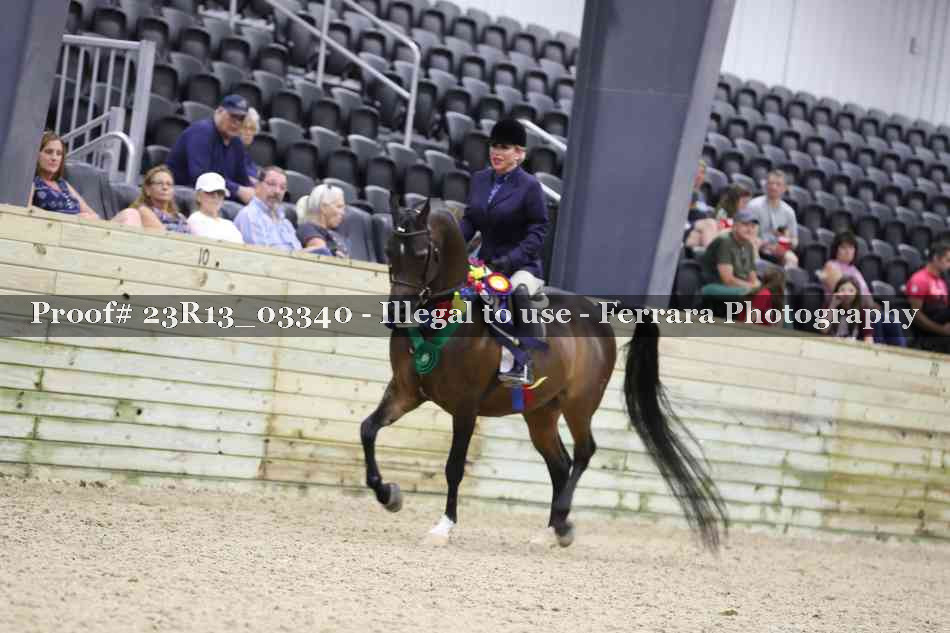 Proof Number 23R13_03340