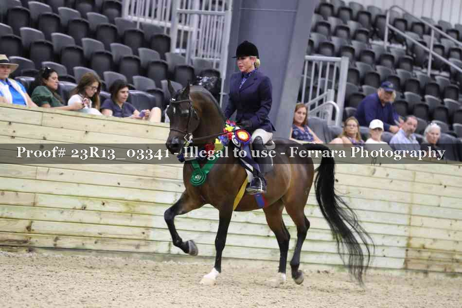 Proof Number 23R13_03341