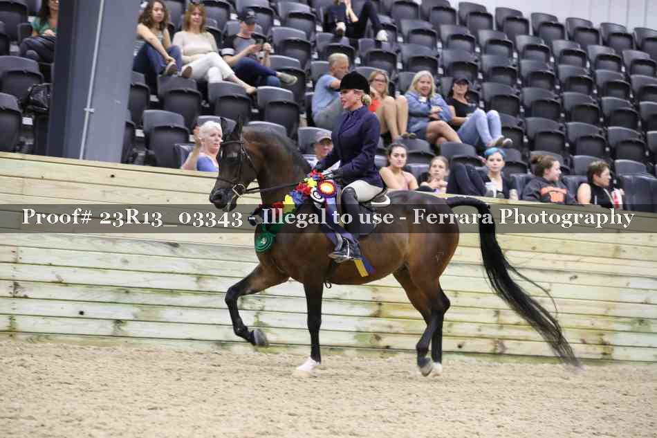 Proof Number 23R13_03343