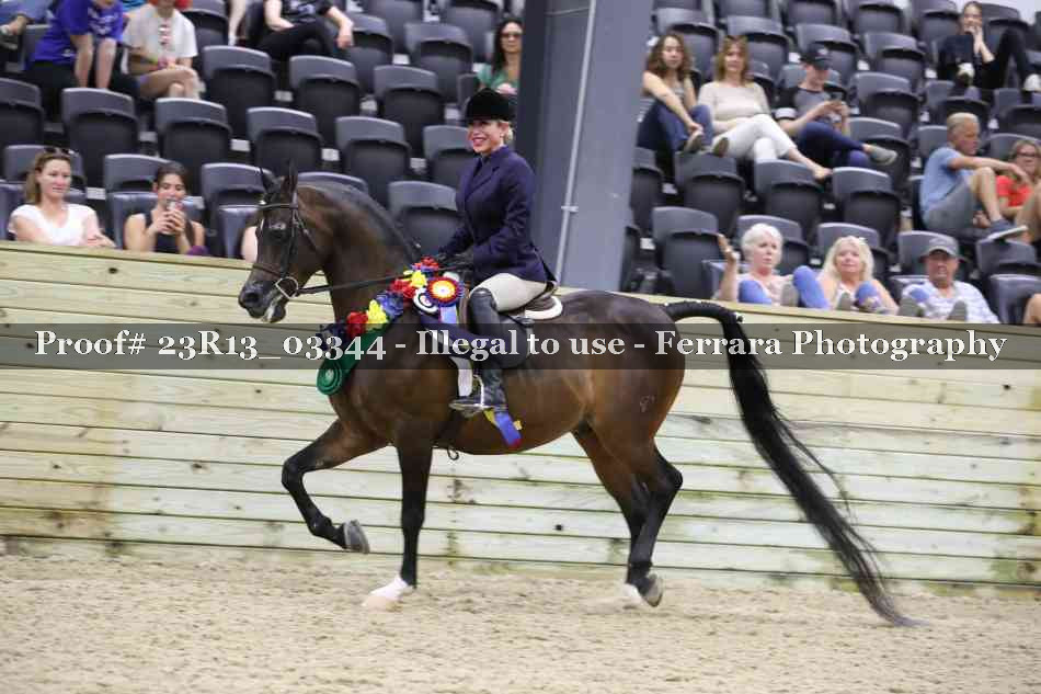 Proof Number 23R13_03344