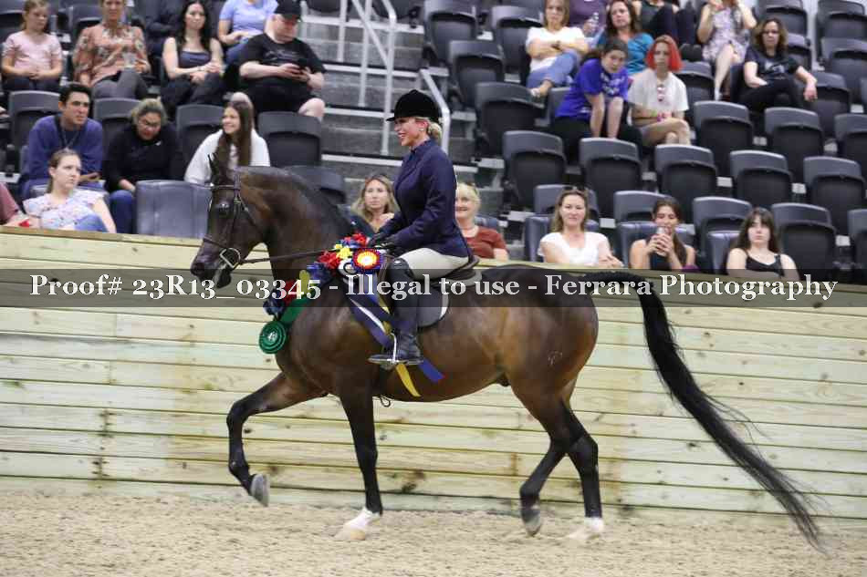Proof Number 23R13_03345
