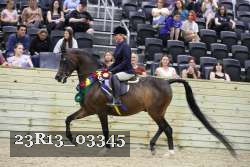 23R13_03345 thumbnail