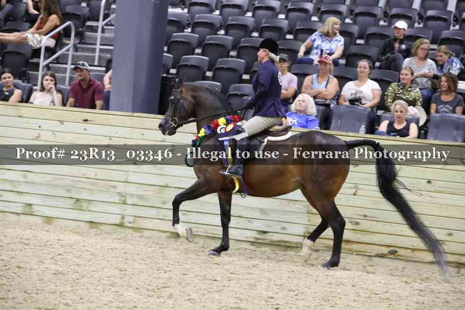 Proof Number 23R13_03346