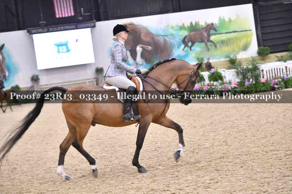 Proof Number 23R13_03349