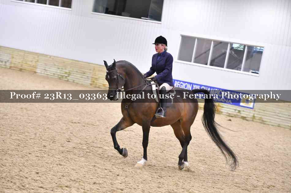 Proof Number 23R13_03363
