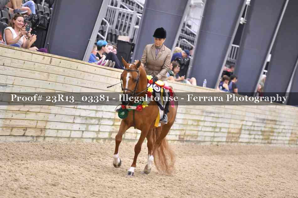 Proof Number 23R13_03381