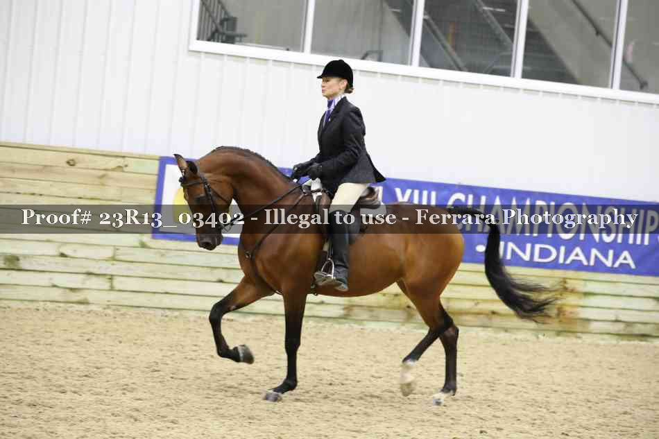 Proof Number 23R13_03402